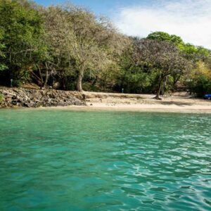 Snorkel Escapade