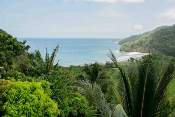 St. Lucia Piton Views