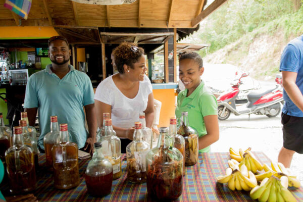 DIY Evergreen St. Lucia
