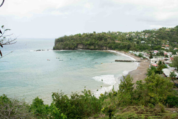 DIY Evergreen St. Lucia
