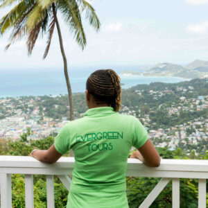 Evergreen Passenger Transport professional
