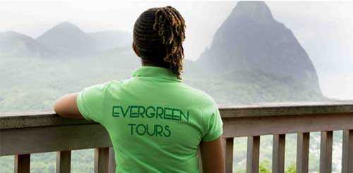 about-new1 SIGHTSEEING TOURS