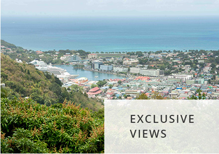 St. Lucia Tour